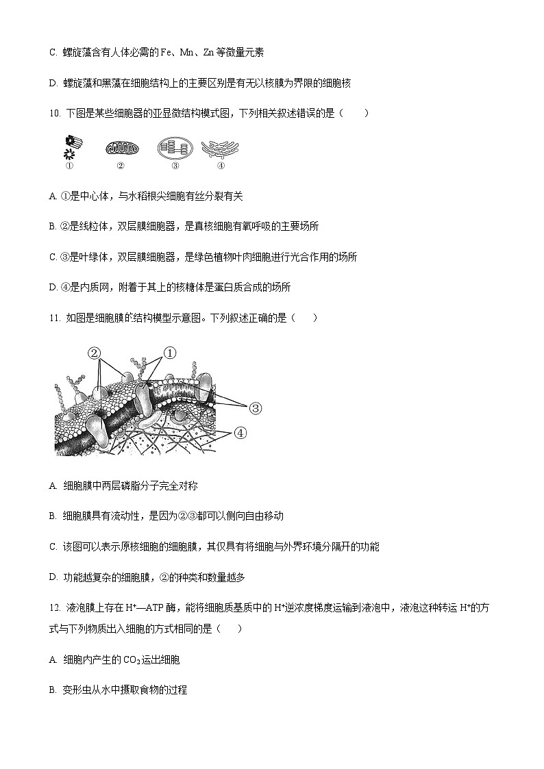 2023-2024学年浙江省宁波市五校联盟高一上学期期中联考试题生物含答案03