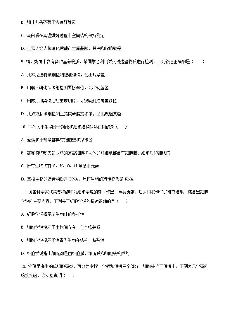 浙江省温州市环大罗山联盟2023-2024学年高一上学期期中联考生物试题  Word版无答案 第3页