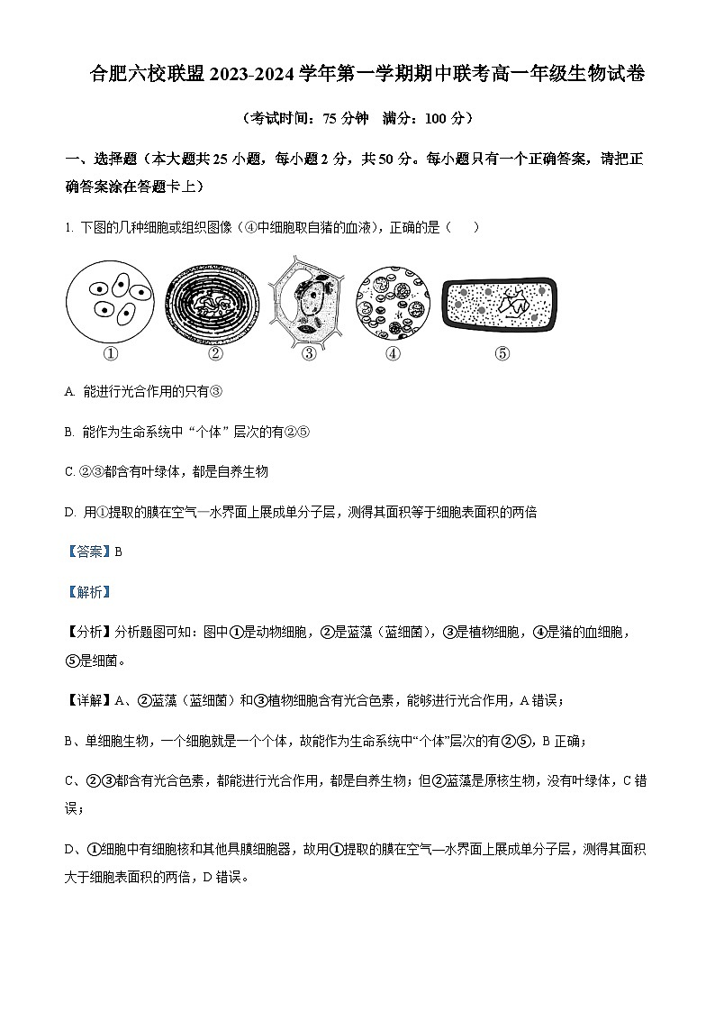 安徽省合肥市六校联盟2023-2024学年高一11月期中生物试题  Word版含解析第1页