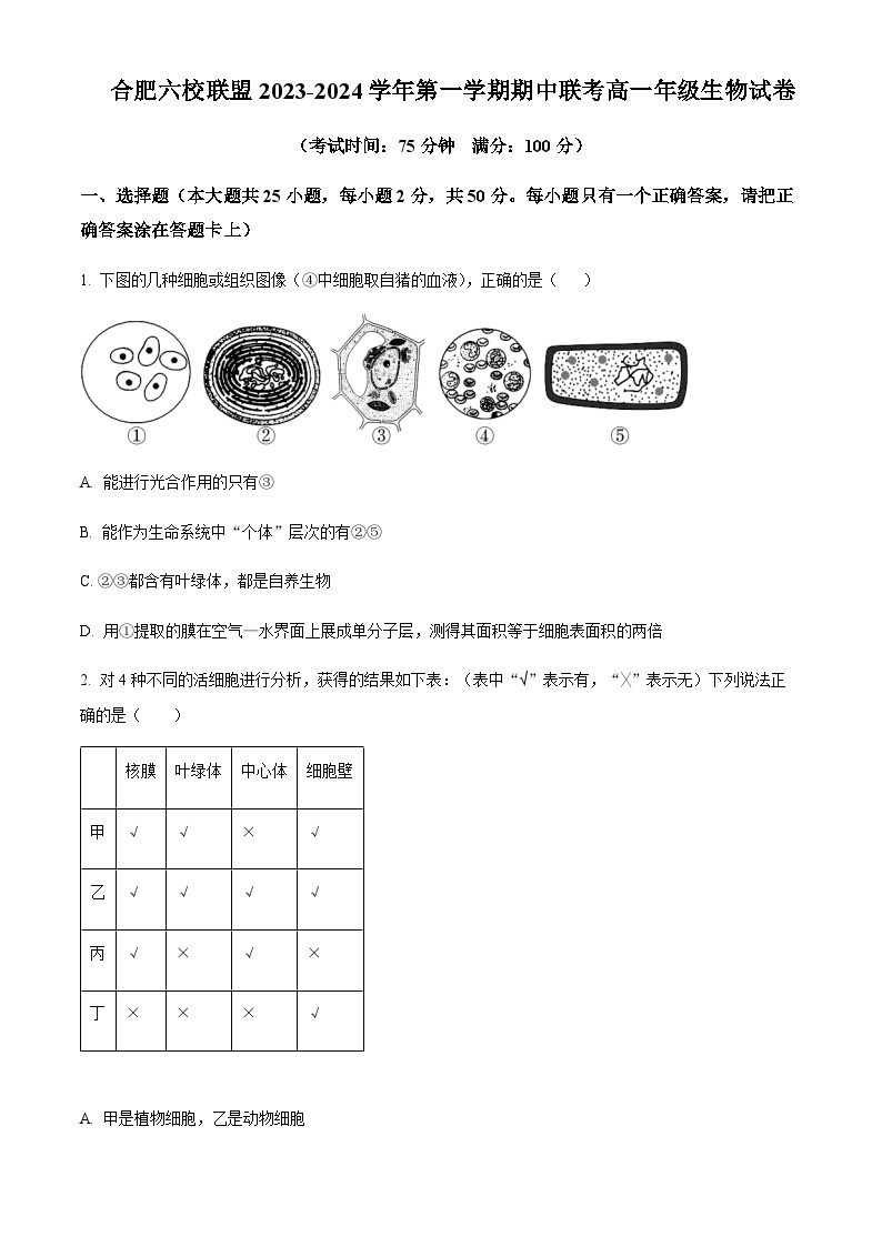 2023-2024学年安徽省合肥市八中六校联盟高一上学期期中生物试题含答案01