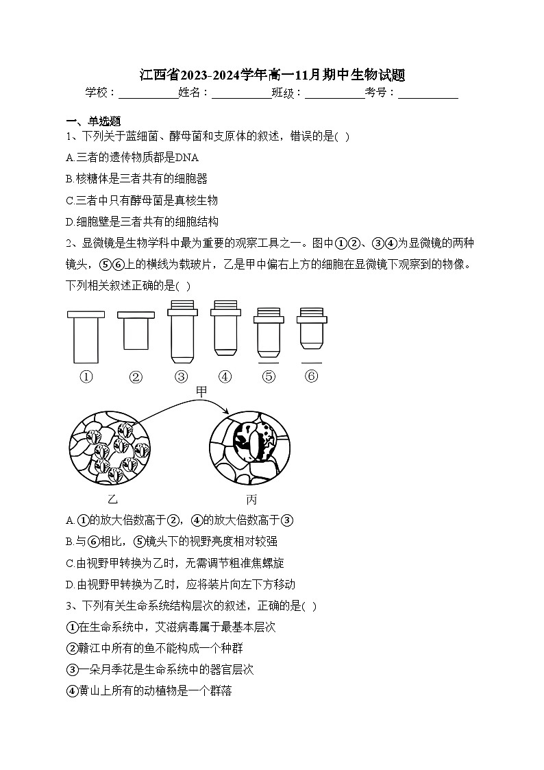 江西省2023-2024学年高一11月期中生物试题(含答案)第1页