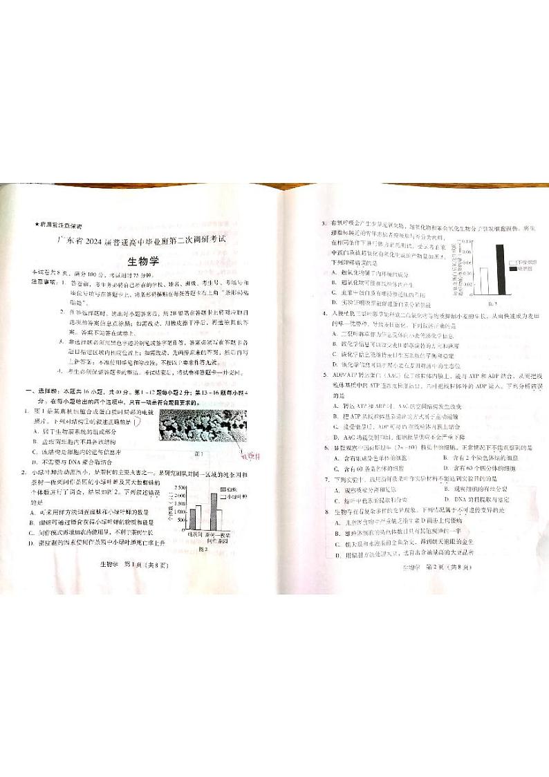 2024届广东省茂名市化州市高三一模生物试题01