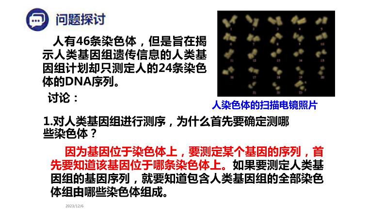 人教版高中生物必修二2.2基因在染色体上课件+同步分层练习(含答案解析)02