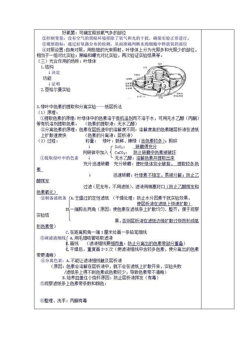 高中生物(新人教版必修1)教案:5.4《能量之源——光和光合作用》第1课时第2页