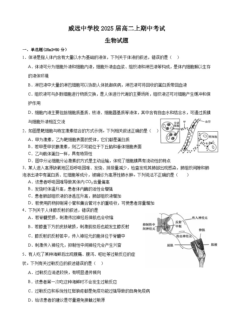 四川省内江市威远中学校2023-2024学年高二上学期期中考试生物试题01