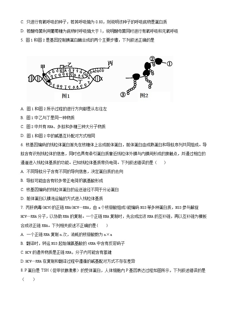 2024辽宁省实验中学高三上学期期中考试生物含解析第2页