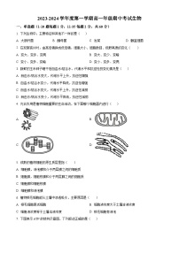 江苏省南通市海安高级中学2023-2024学年高一上学期期中生物试题（Word版附解析）