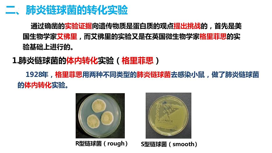 人教版高中生物必修二3.1DNA是主要的遺傳物質(zhì)課件第5頁(yè)