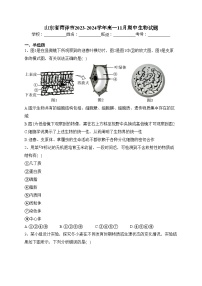 山东省菏泽市2023-2024学年高一11月期中生物试题(含答案)