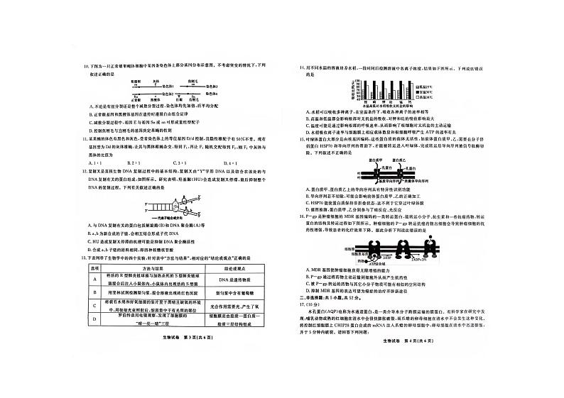 2024安徽省部分地区高三上学期11月联考试题生物PDF版含答案第2页