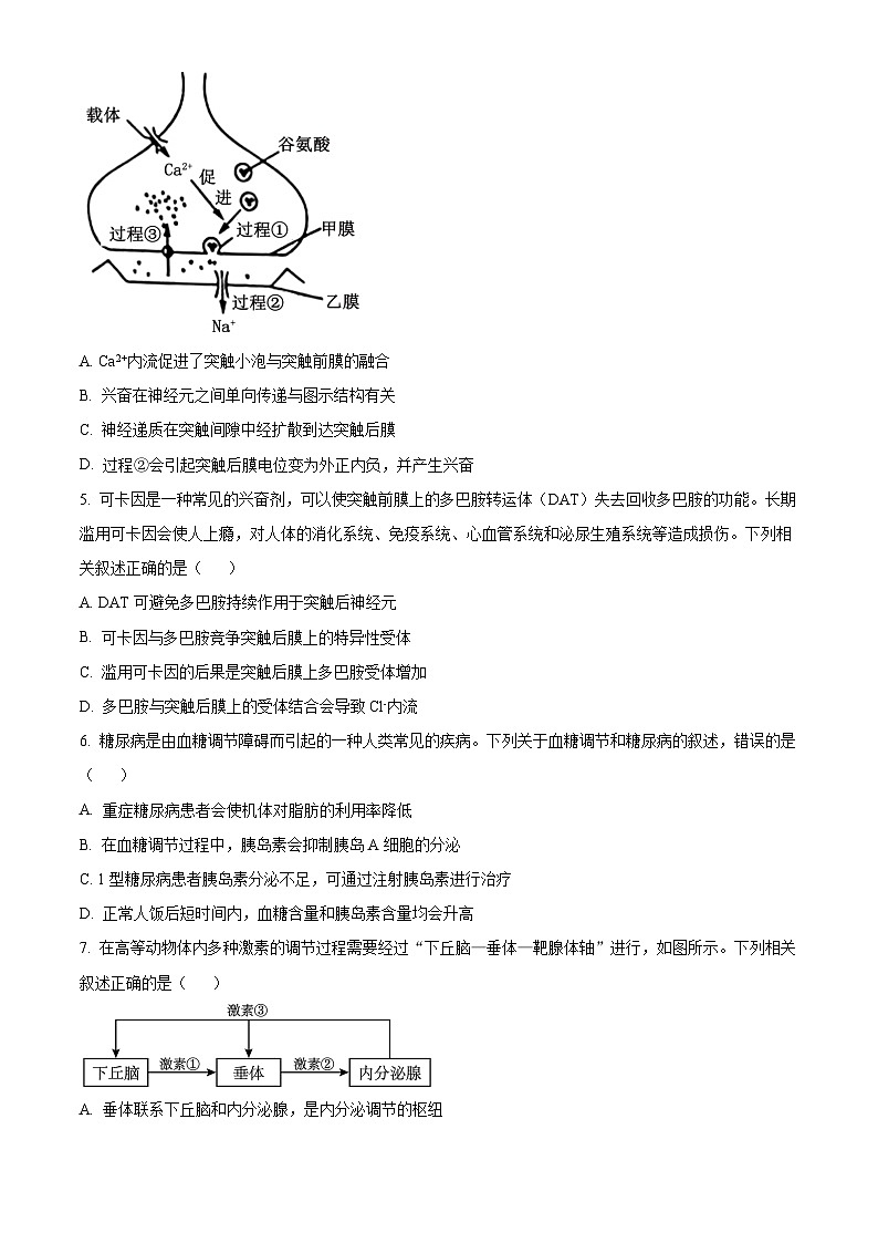 2024吕梁部分学校高二上学期11月联考生物试题含答案第2页