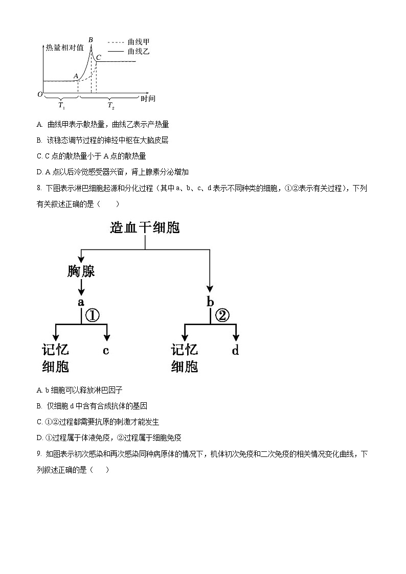 2024厦门湖滨中学高二上学期期中生物试题含答案第3页