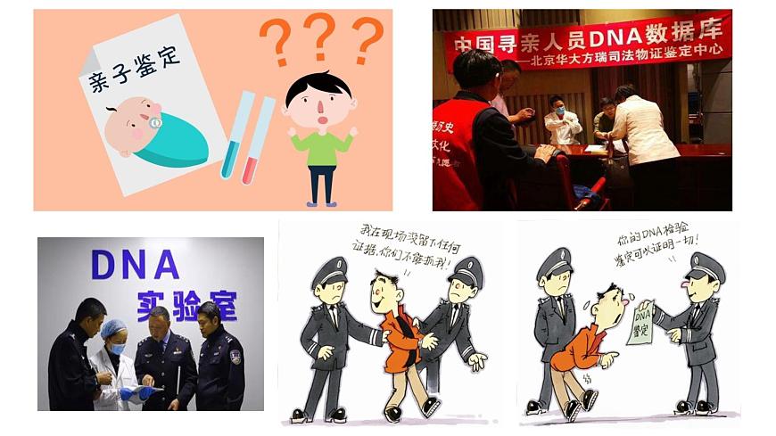 人教版高中生物必修二3.2DNA的結(jié)構(gòu)課件第2頁