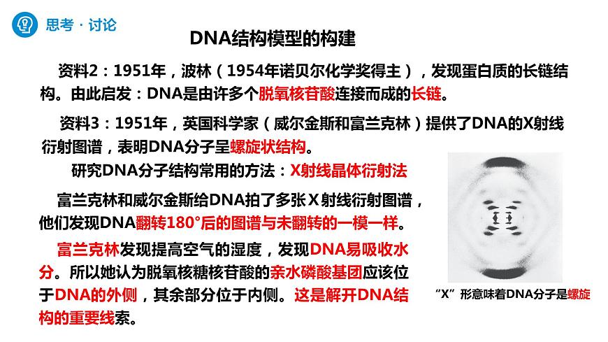 人教版高中生物必修二3.2DNA的結(jié)構(gòu)課件第5頁