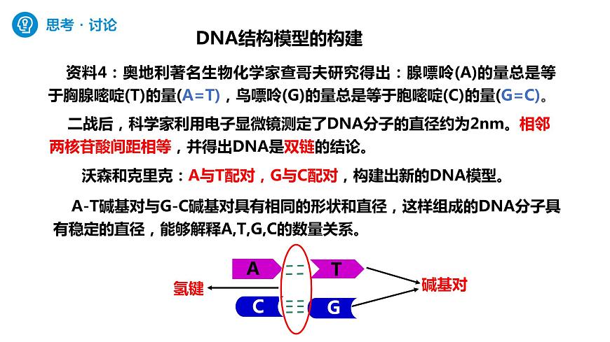 人教版高中生物必修二3.2DNA的結(jié)構(gòu)課件第7頁
