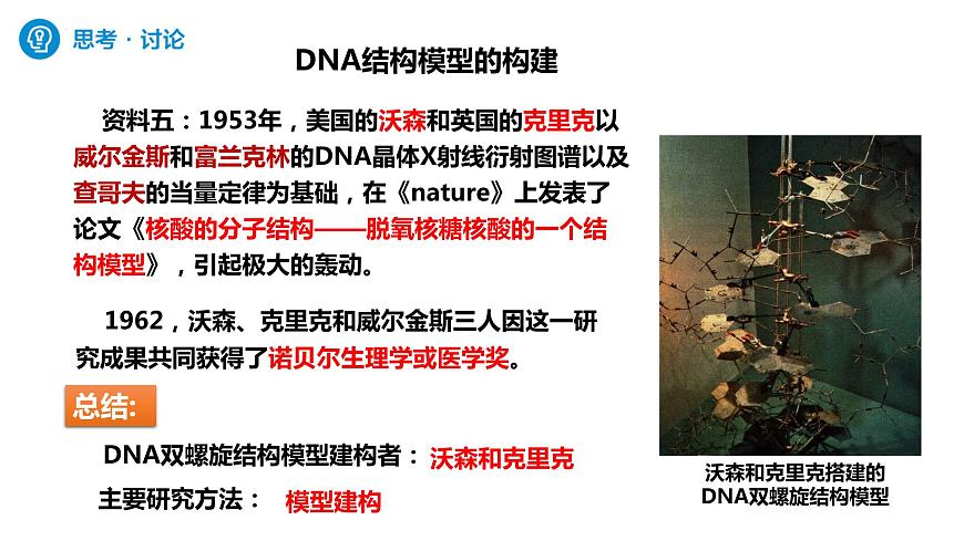 人教版高中生物必修二3.2DNA的結(jié)構(gòu)課件第8頁
