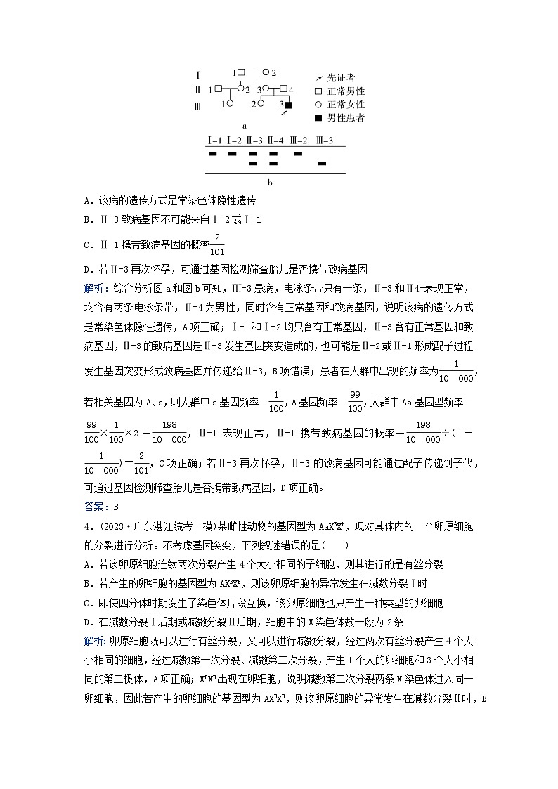 2024届高考生物二轮专题复习与测试专题强化练六遗传的基本规律伴性遗传与人类遗传病第3页