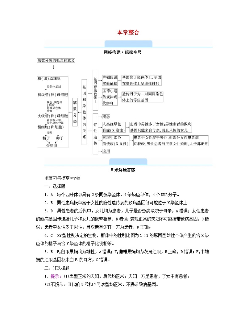 新教材2023年高中生物第2章基因和染色体的关系本章整合学案新人教版必修2第1页
