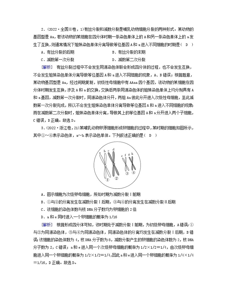 新教材2023年高中生物第2章基因和染色体的关系本章整合学案新人教版必修2第3页