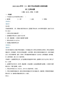 2024重庆市乌江新高考协作体高三上学期期中考试生物含解析