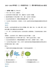 四川省成都市成华区某校2023-2024学年高一上学期期中生物试题（Word版附解析）