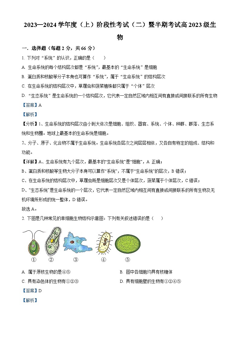 四川省成都市成华区某校2023-2024学年高一上学期期中生物试题(Word版附解析)第1页