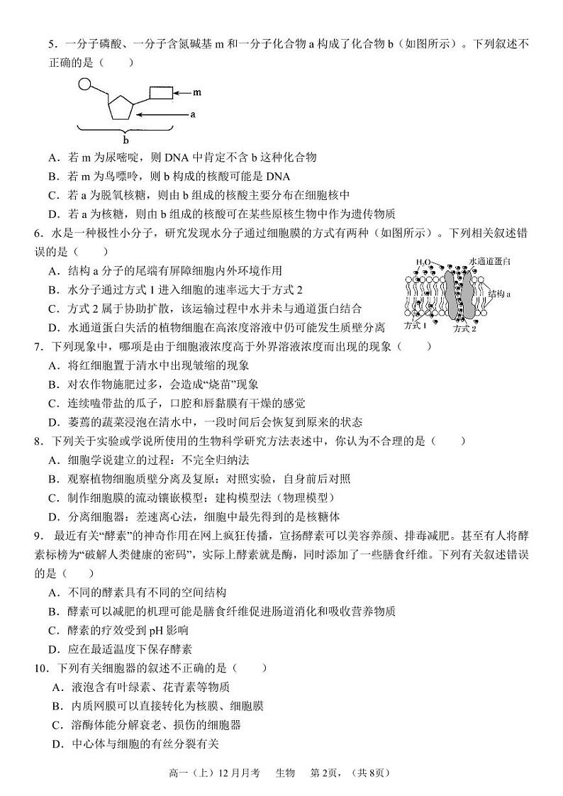 四川省成都市石室阳安中学2023-2024学年高一上学期12月月考生物试题02