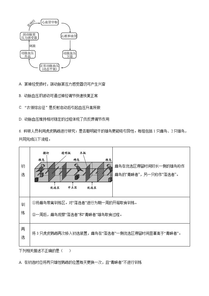 重庆市西南大学附属中学2023-2024学年高二上期期中生物试题(原卷版)第3页