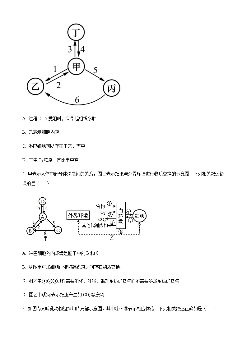 宁夏银川市贺兰县景博中学2023-2024学年高二上学期第一次月考生物试题(原卷版)第2页