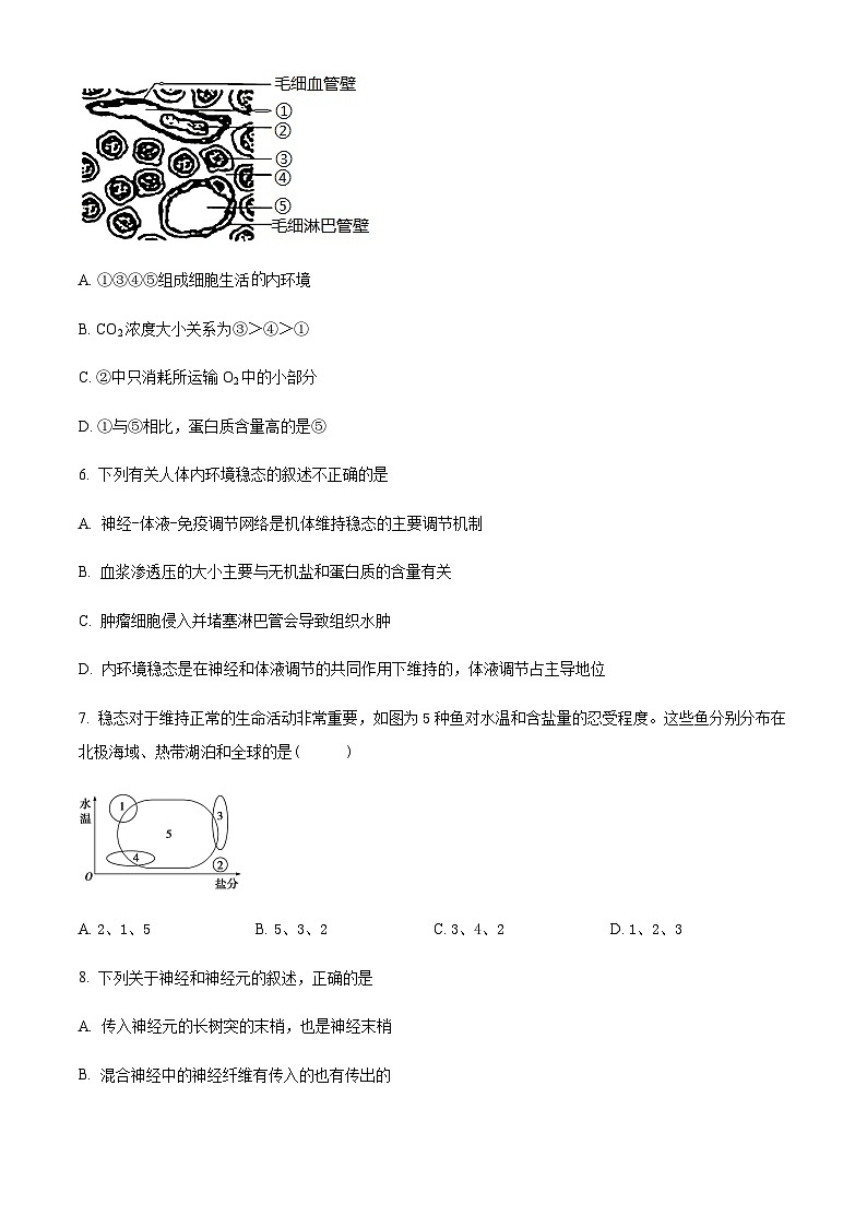 宁夏银川市贺兰县景博中学2023-2024学年高二上学期第一次月考生物试题(原卷版)第3页