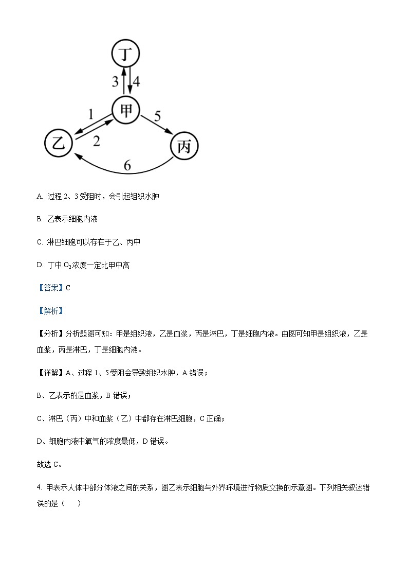 宁夏银川市贺兰县景博中学2023-2024学年高二上学期第一次月考生物试题 Word版含解析第3页