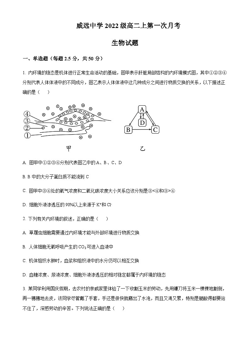2023-2024学年四川省内江市威远中学高二上学期第一次月考生物试题含答案01