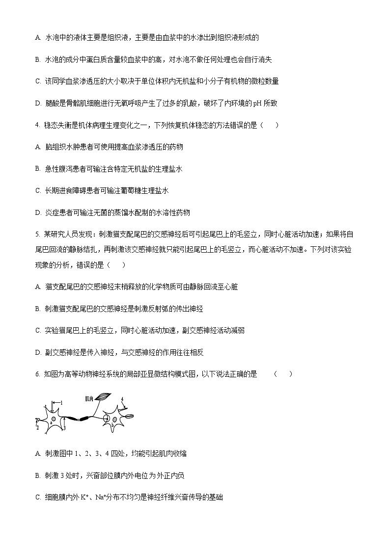 2023-2024学年四川省内江市威远中学高二上学期第一次月考生物试题含答案02
