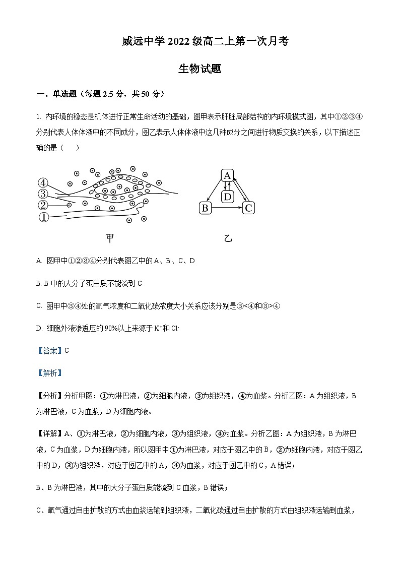 2023-2024学年四川省内江市威远中学高二上学期第一次月考生物试题含答案01