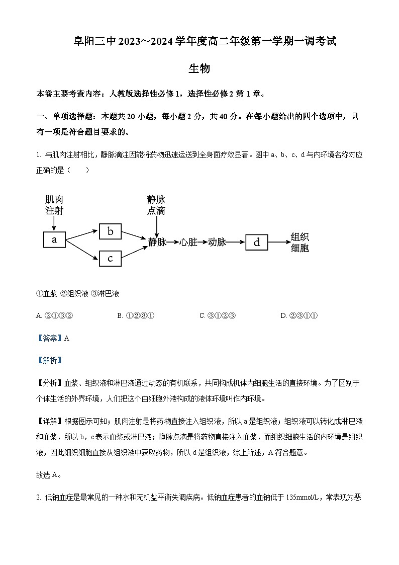 安徽省阜阳市三中2023-2024学年高二10月月考生物试题 Word版含解析第1页