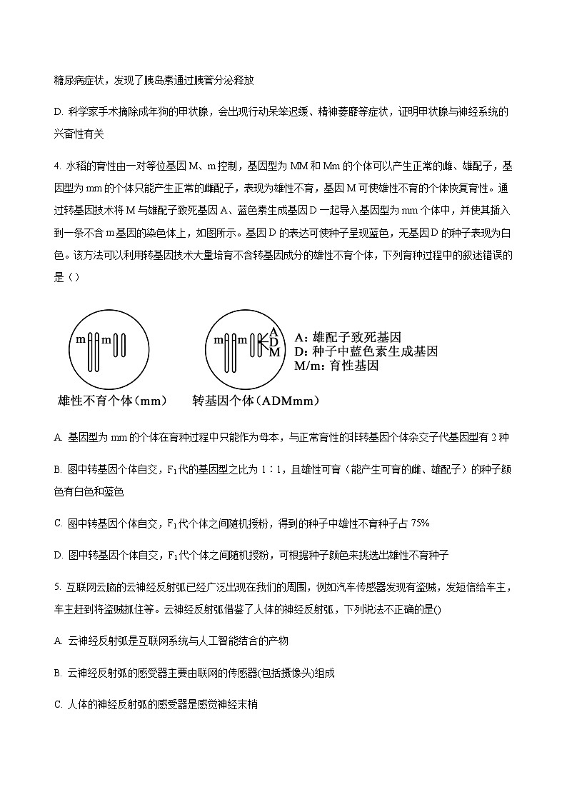 2023-2024学年江西省丰城中学(创新班)高二上学期10月月考生物word版含答案02