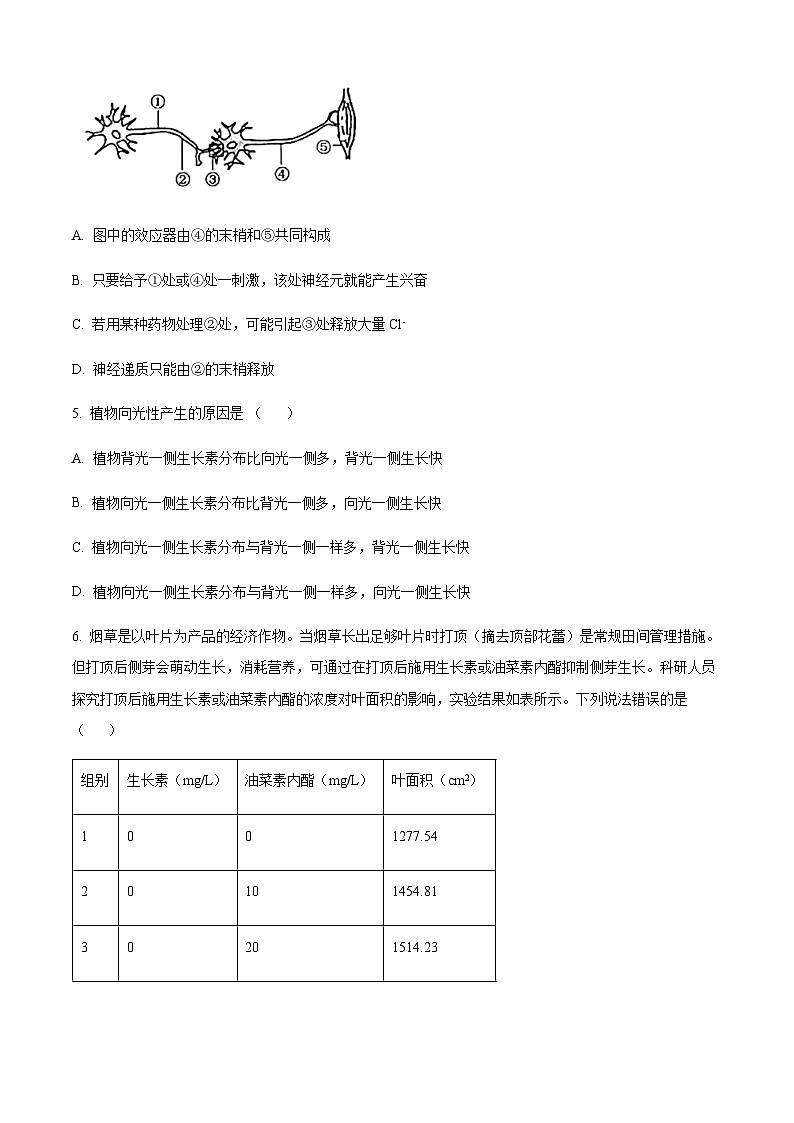 2022-2023学年新疆乌鲁木齐市第四十中学高二下学期开学考试生物试题含答案02