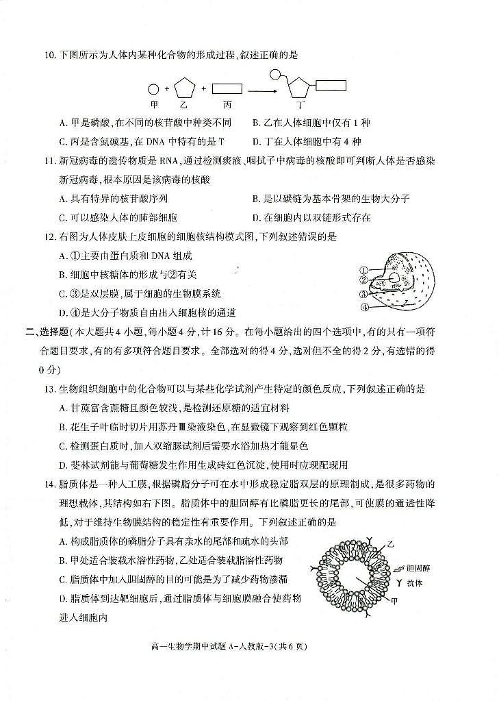 2024榆林十中高一上学期期中生物试题扫描版含答案第2页