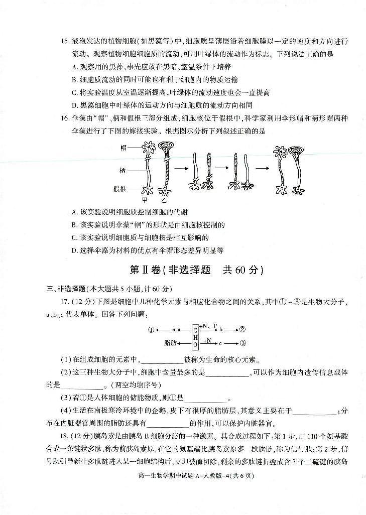 2024榆林十中高一上学期期中生物试题扫描版含答案第3页