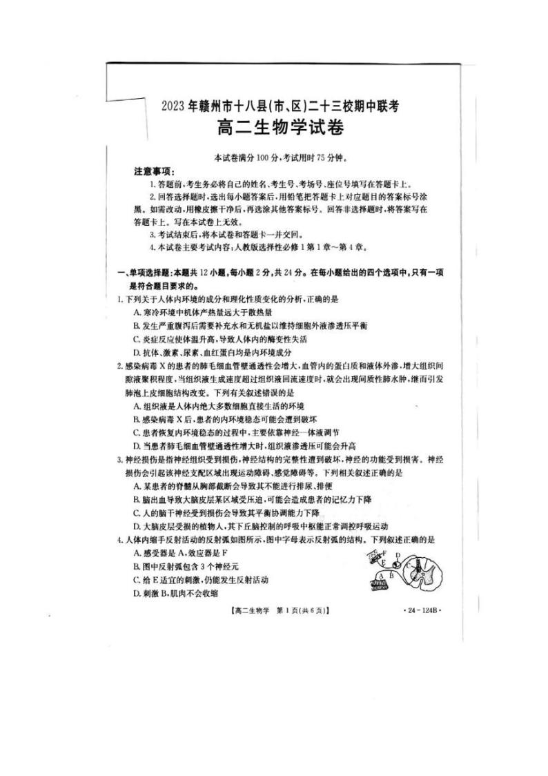 2023-2024学年江西省赣州市二十三校联考高二上学期期中考试生物试题含答案01