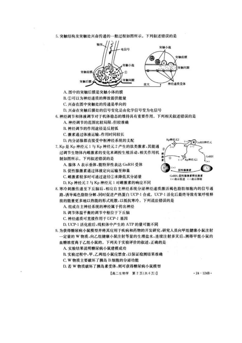 2023-2024学年江西省赣州市二十三校联考高二上学期期中考试生物试题含答案03