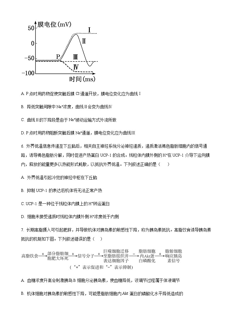 2023-2024学年山东省德州市第一中学高二上学期期中考试生物含答案03