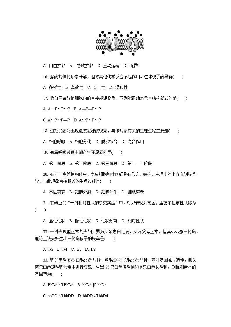 2023-2024学年江苏省普通高中学业水平合格性考试模拟生物试卷(一)(含解析)第3页