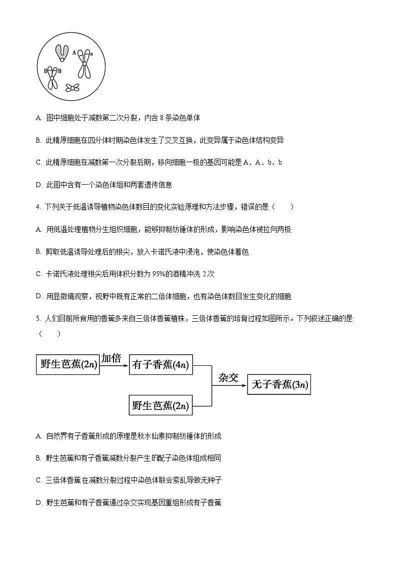 安徽省安庆一中2021-2022学年高二上学期期中生物试题 Word版无答案第2页
