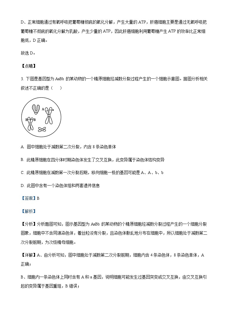 安徽省安庆一中2021-2022学年高二上学期期中生物试题 Word版含解析第3页