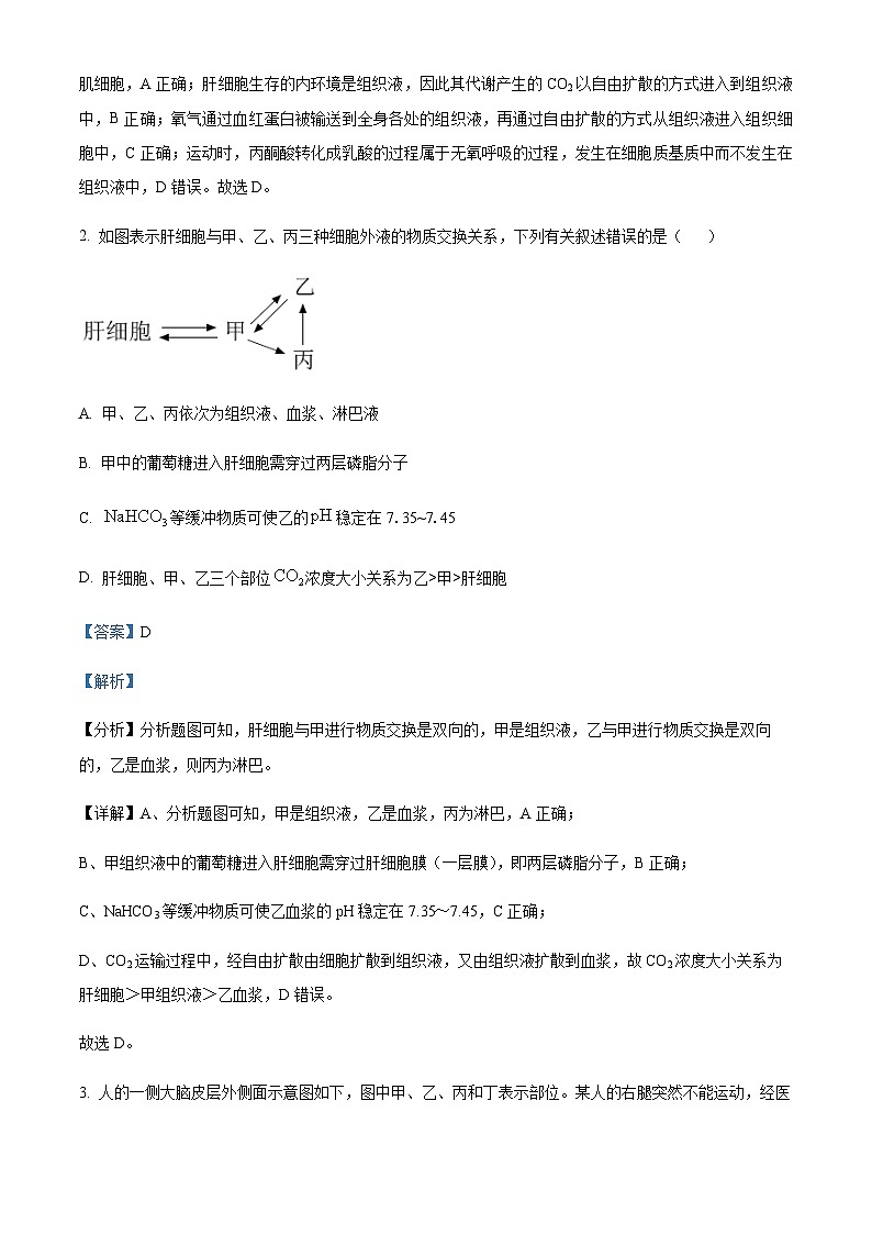 山西省阳泉市第一中学2022-2023学年高二上学期期中生物试题 Word版含解析第2页