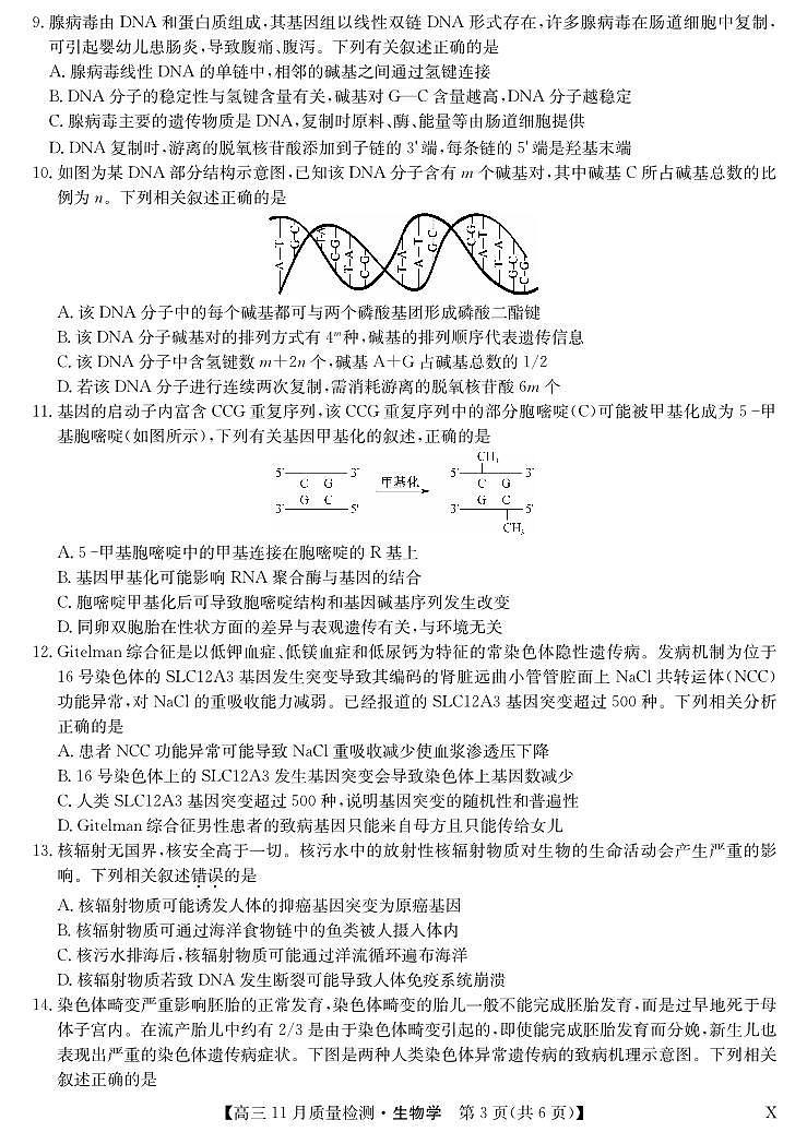 安徽省九师联盟2024届高三11月质量检测 生物第3页