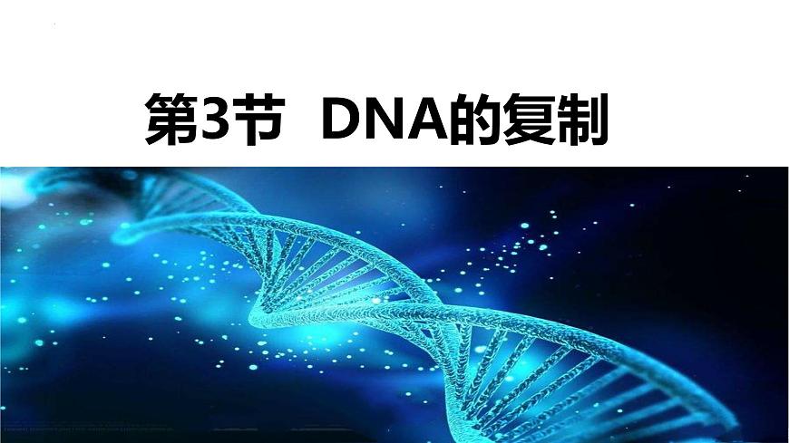 人教版高中生物必修二3.3DNA的復(fù)制課件第1頁