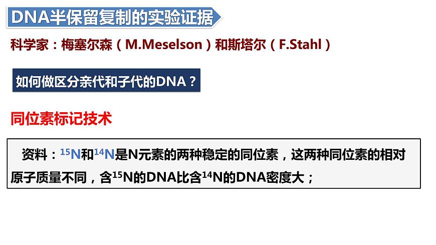 人教版高中生物必修二3.3DNA的復(fù)制課件第5頁