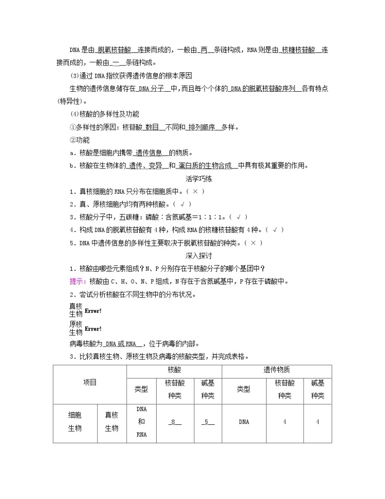 新教材适用2023_2024学年高中生物第2章组成细胞的分子第5节核酸是遗传信息的携带者学案新人教版必修102